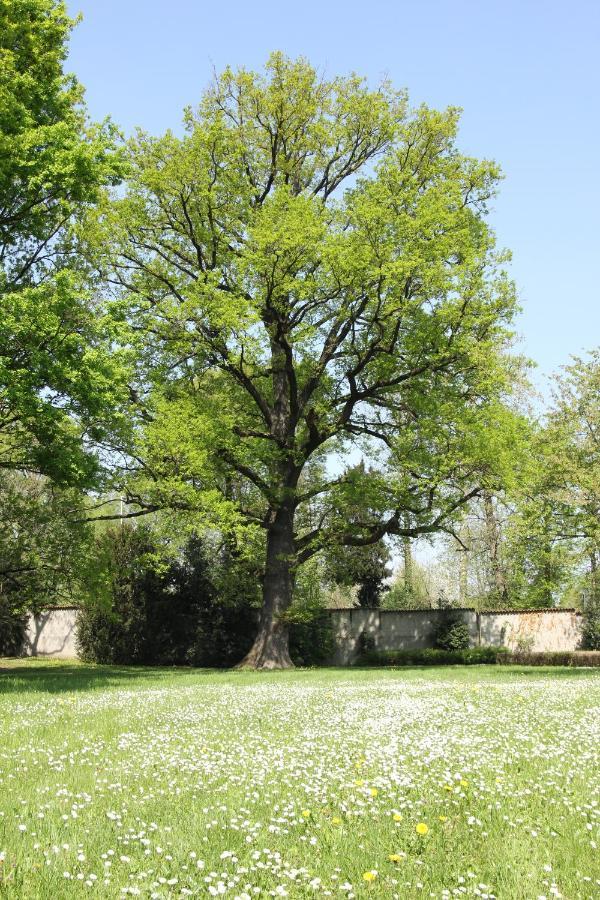 Storica Quercia B&B Нервиано Экстерьер фото